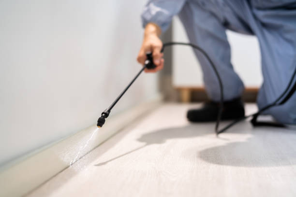 Rodent Entry Point Assessment in Buena Park