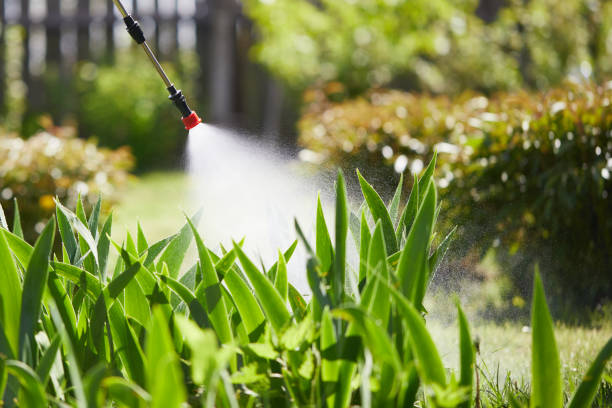 Tamper-Resistant Bait Stations for Rodents in Buena Park