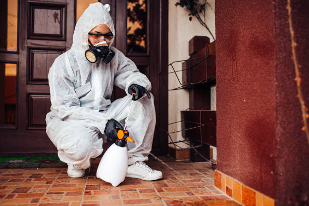 Attic and Crawl Space Rodent Treatment in Buena Park